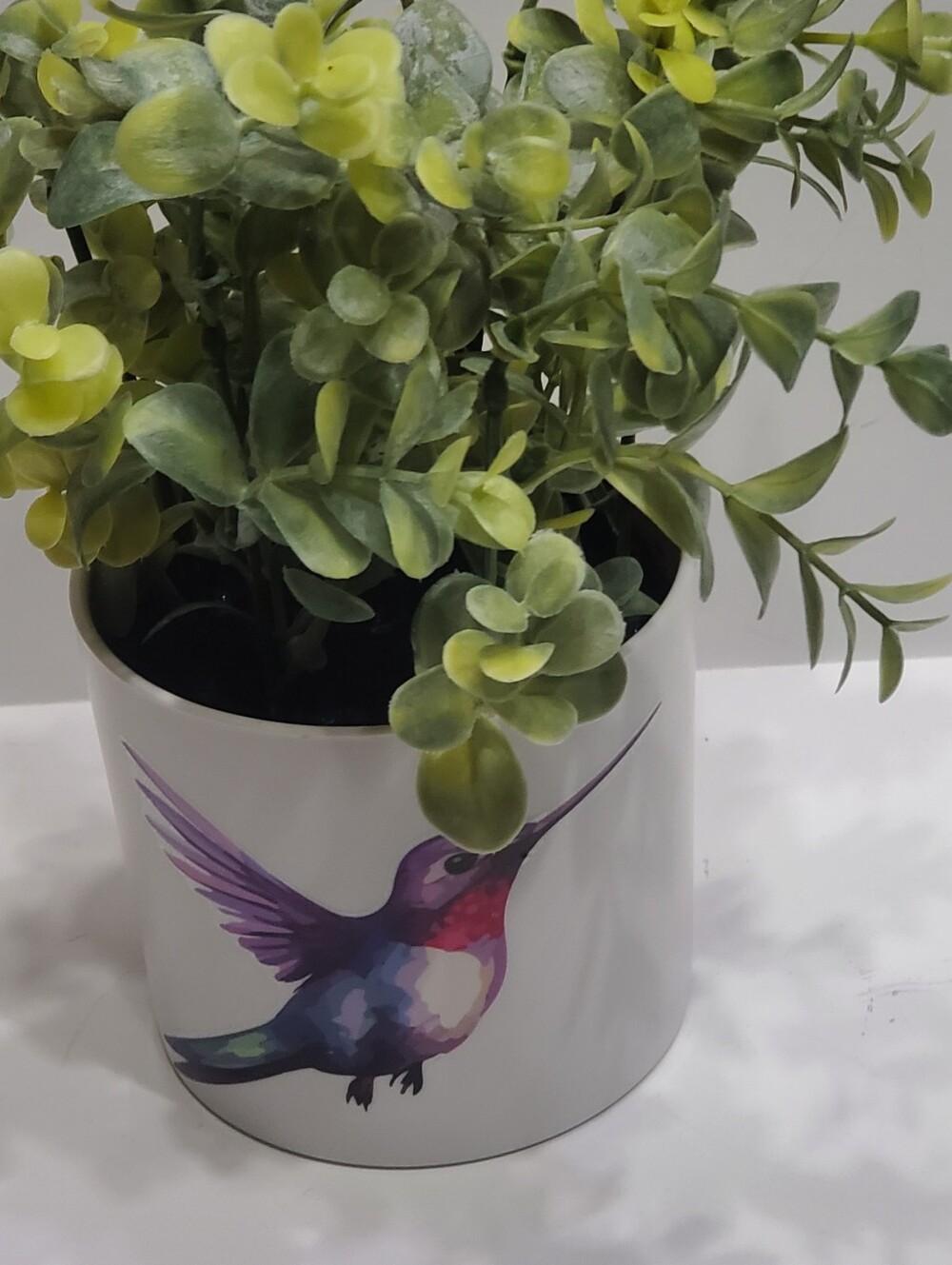 Light Up Plant